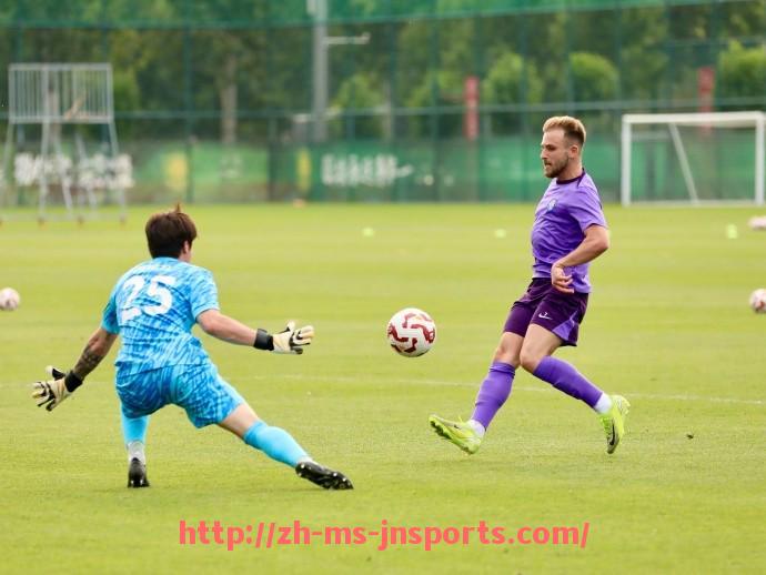 JN江南体育-意甲球队阵容变化的影响与战术调整