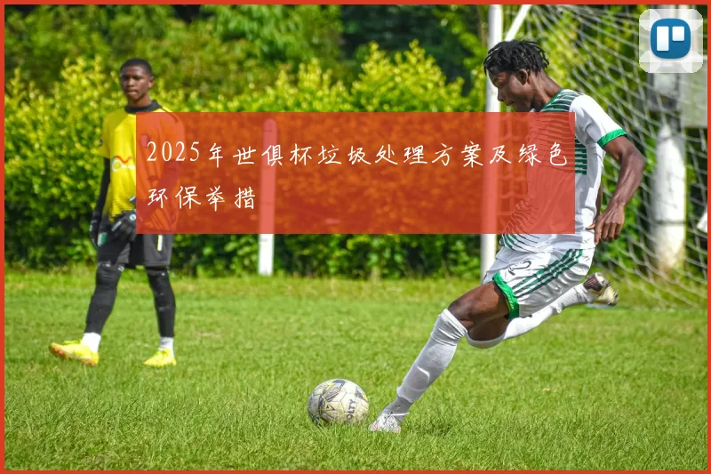2025年世俱杯垃圾处理方案及绿色环保举措