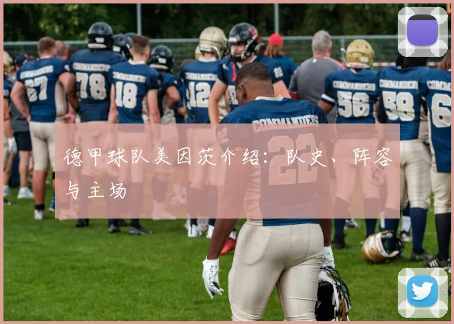 德甲球队美因茨介绍：队史、阵容与主场