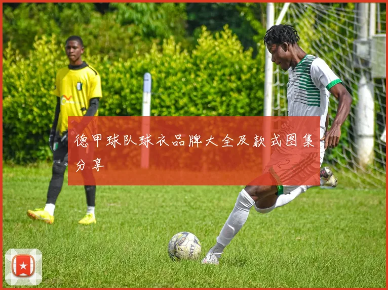 德甲球队球衣品牌大全及款式图集分享