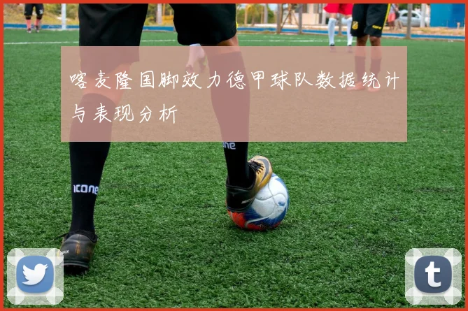 喀麦隆国脚效力德甲球队数据统计与表现分析