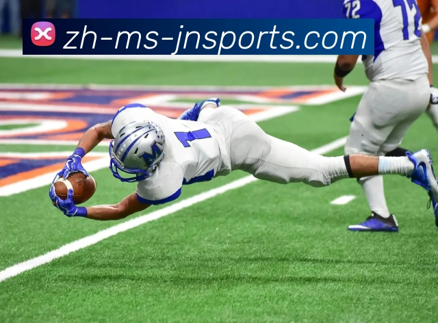 江南体育平台生态图